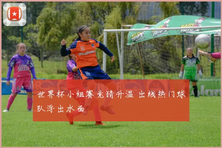 世界杯小组赛竞猜升温 出线热门球队浮出水面