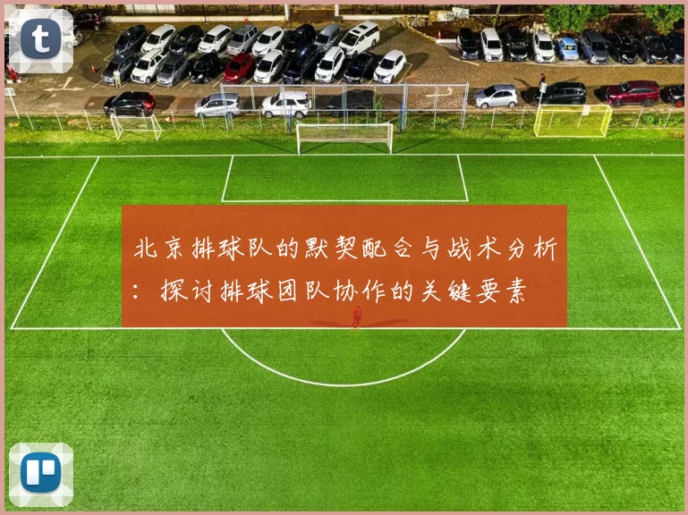 北京排球队的默契配合与战术分析:探讨排球团队协作的关键要素