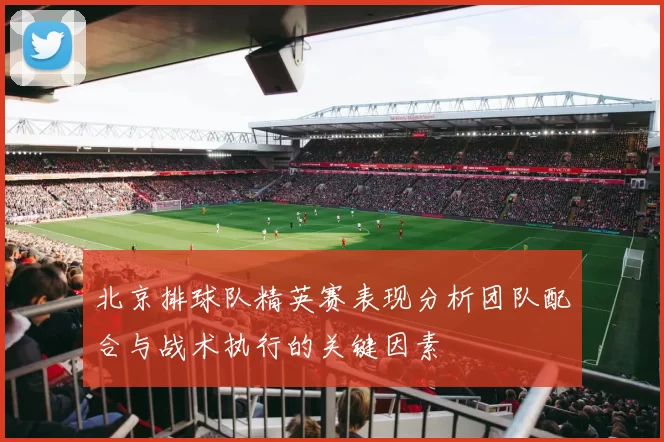 北京排球队精英赛表现分析团队配合与战术执行的关键因素