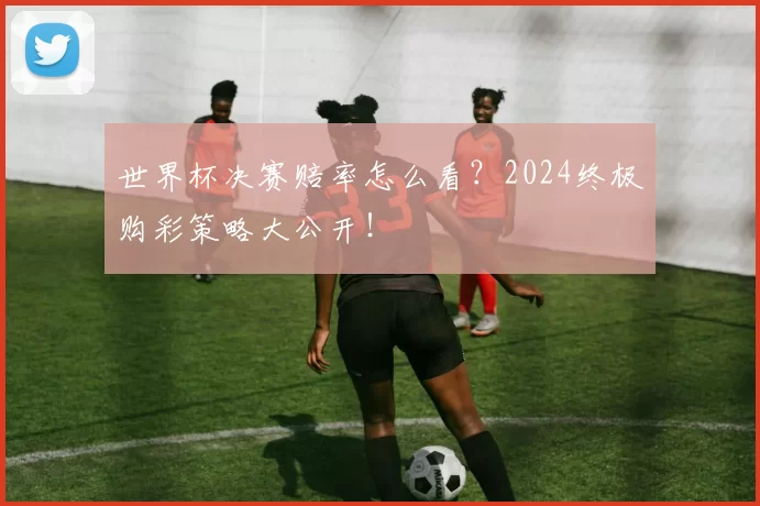 世界杯决赛赔率怎么看?2024终极购彩策略大公开!