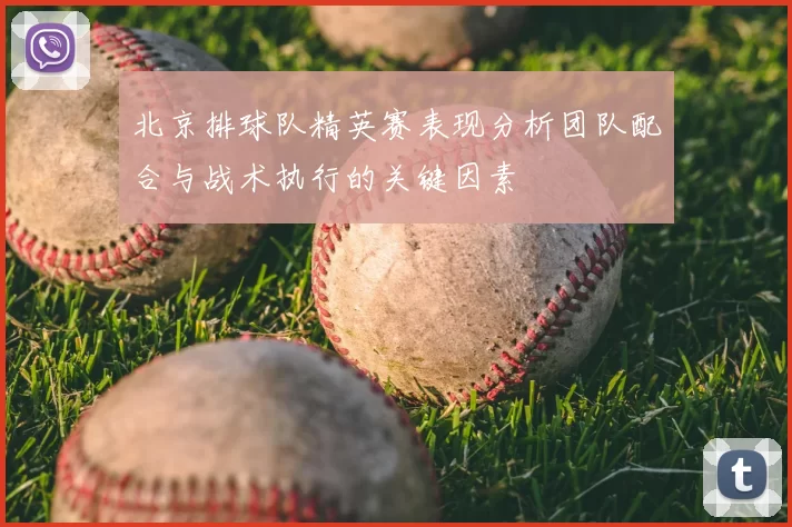 北京排球队精英赛表现分析团队配合与战术执行的关键因素