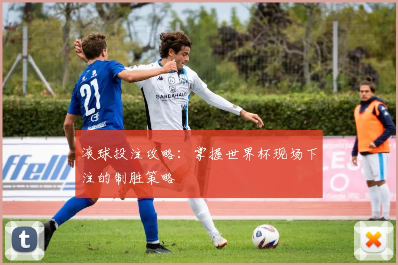 滚球投注攻略:掌握世界杯现场下注的制胜策略