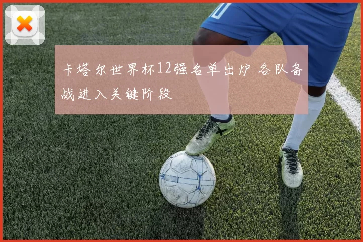 卡塔尔世界杯12强名单出炉 各队备战进入关键阶段