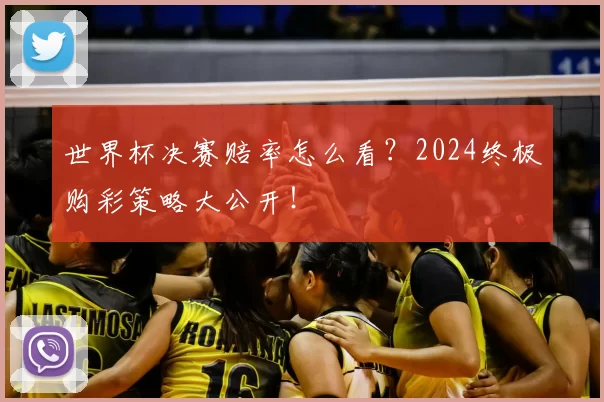 世界杯决赛赔率怎么看?2024终极购彩策略大公开!