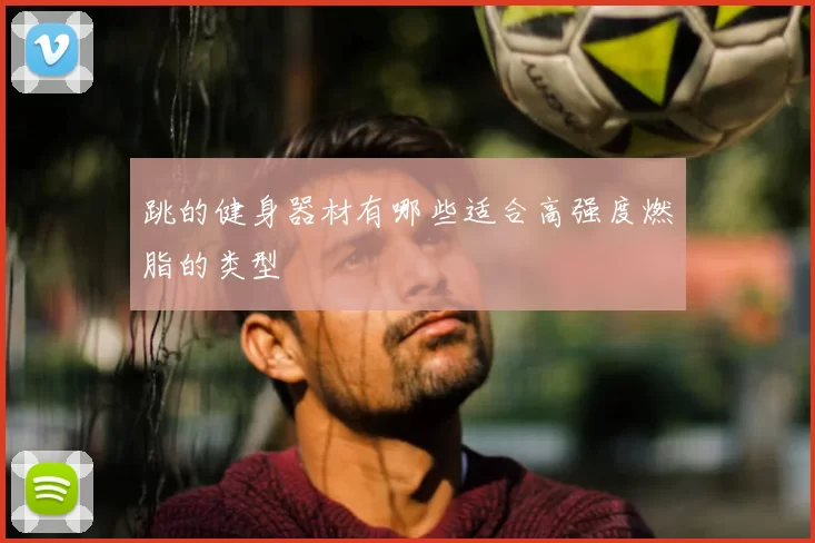 跳的健身器材有哪些适合高强度燃脂的类型