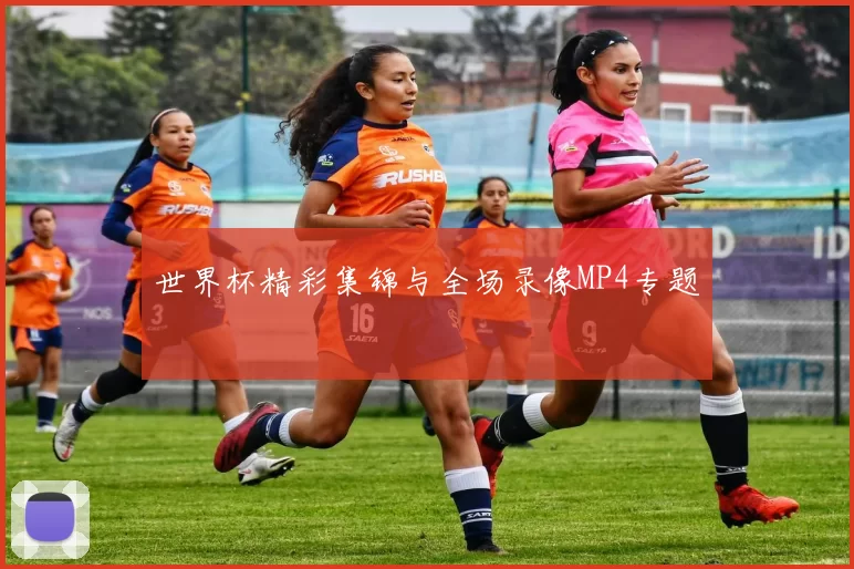 世界杯精彩集锦与全场录像MP4专题