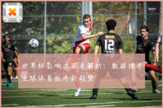 世界杯影响力深度解析：数据揭示全球体育经济新趋势