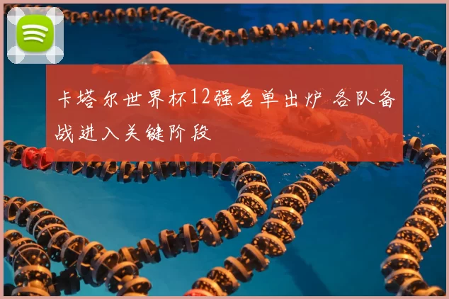 卡塔尔世界杯12强名单出炉 各队备战进入关键阶段