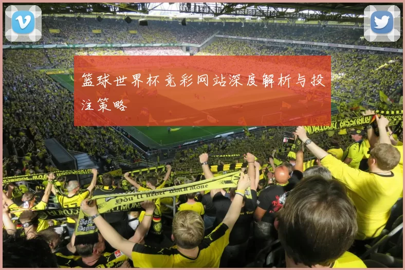 篮球世界杯竞彩网站深度解析与投注策略