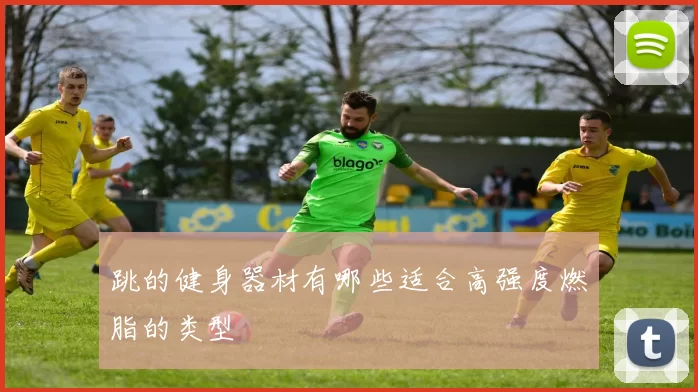 跳的健身器材有哪些适合高强度燃脂的类型